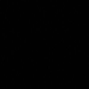 Meet your Posher, Raegan